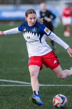 Bild 363 - wBJ Hamburger SV - Holstein Kiel : Ergebnis: 8:0